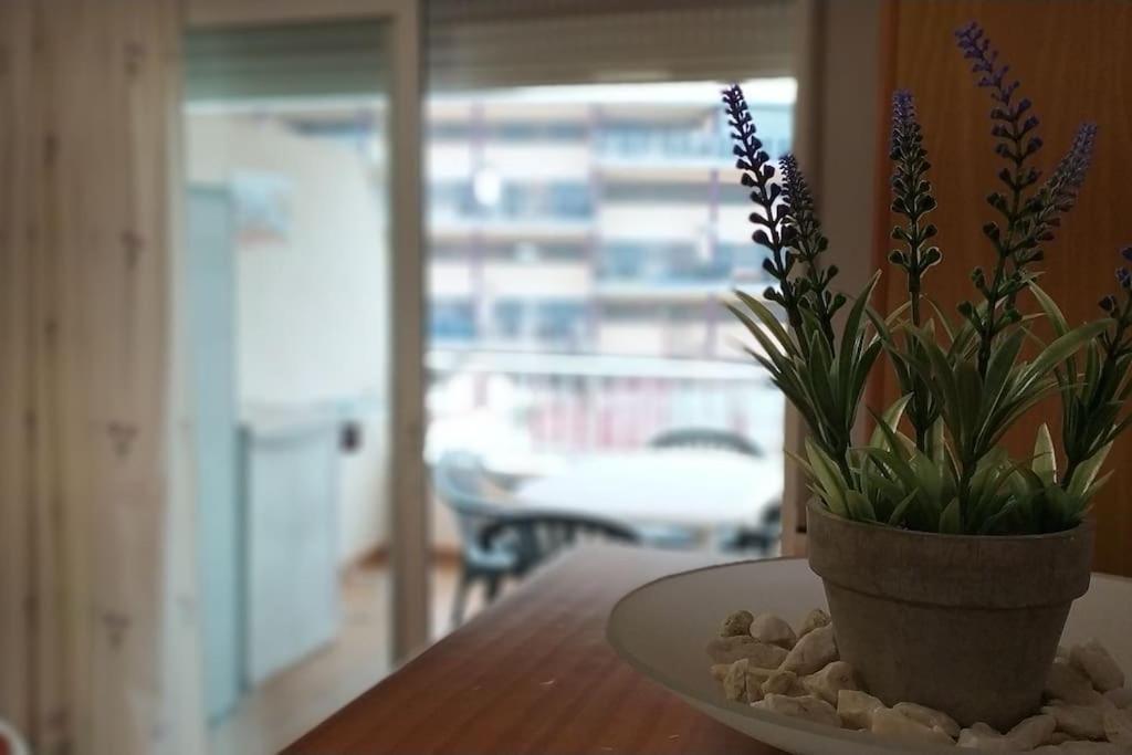 Acogedor Apartamento En La Playa De Canet カネット・デ・ベレンゲル エクステリア 写真